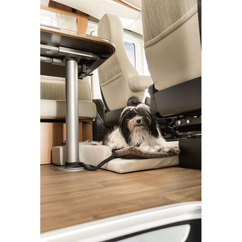 HYMER Hundebett inkl. Komfortkissen und Leine HYMER Hundebett inkl. Komfortkissen und Leine