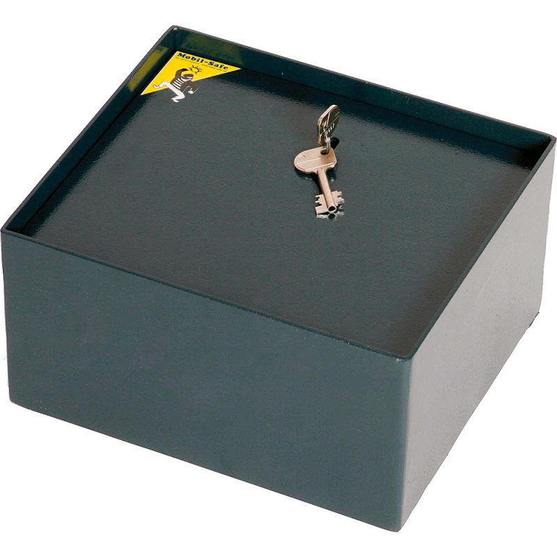 Standard Safe Gr. 3 Standard Safe Gr. 3