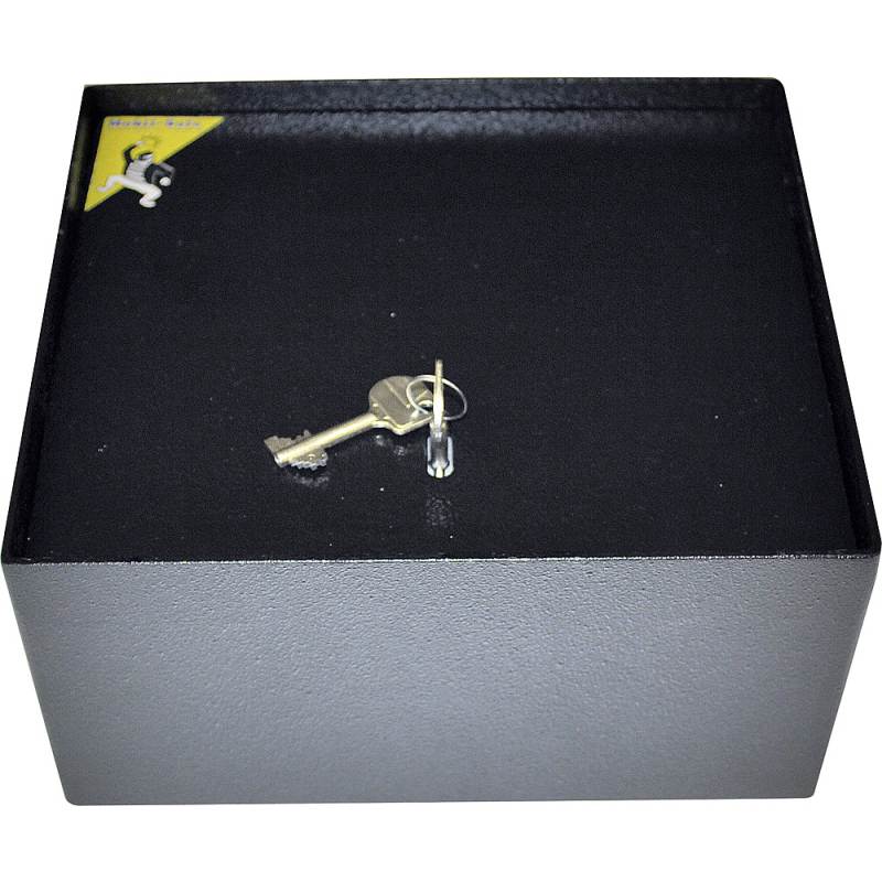 Standard Safe Gr. 3 Standard Safe Gr. 3